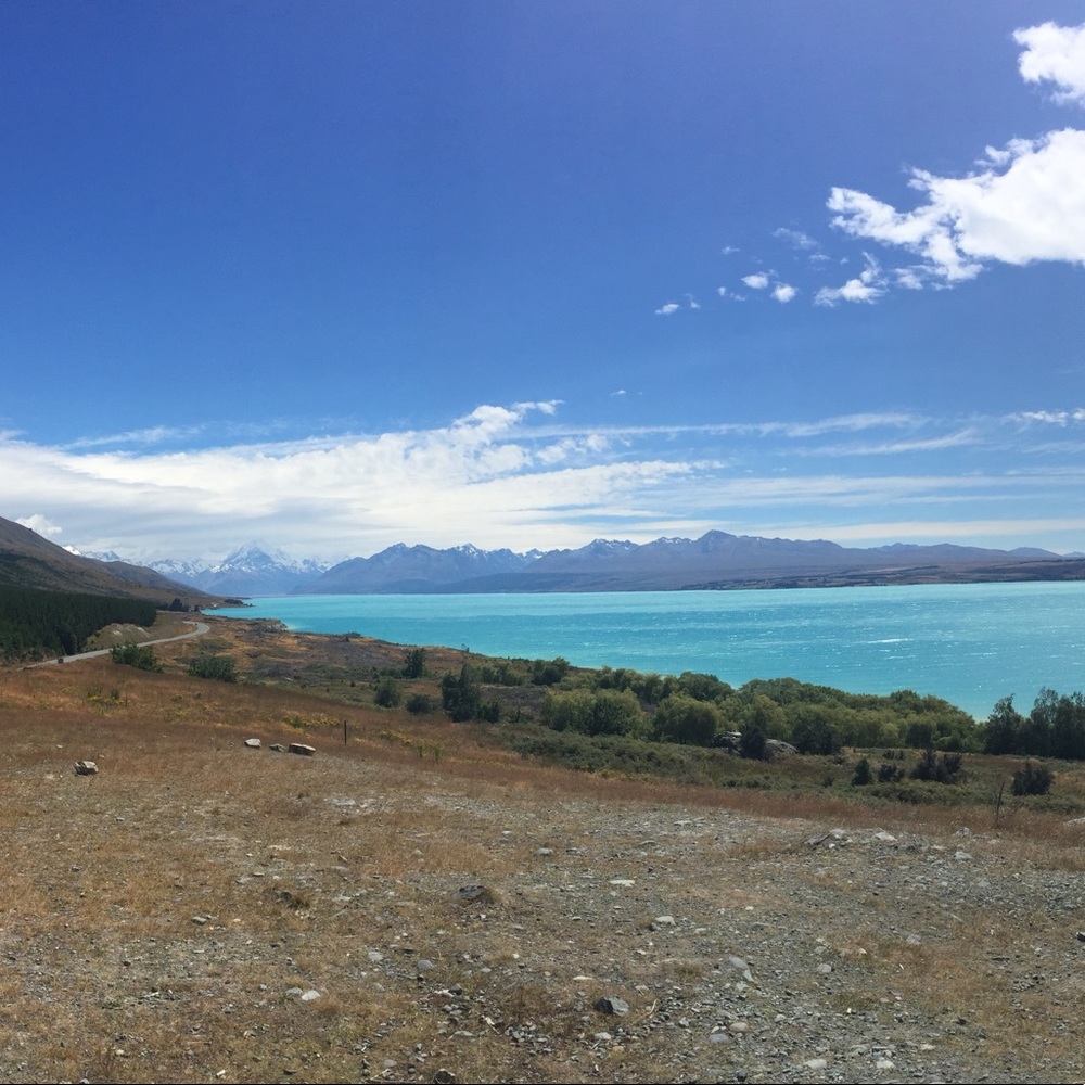 Meet your Posher, Brittney